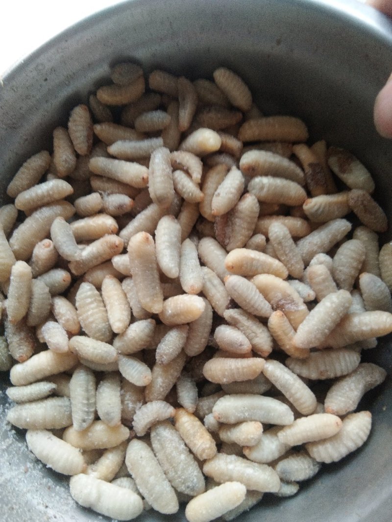 野菜特菜常年供货各种山珍野菜，一手货源，价格实在