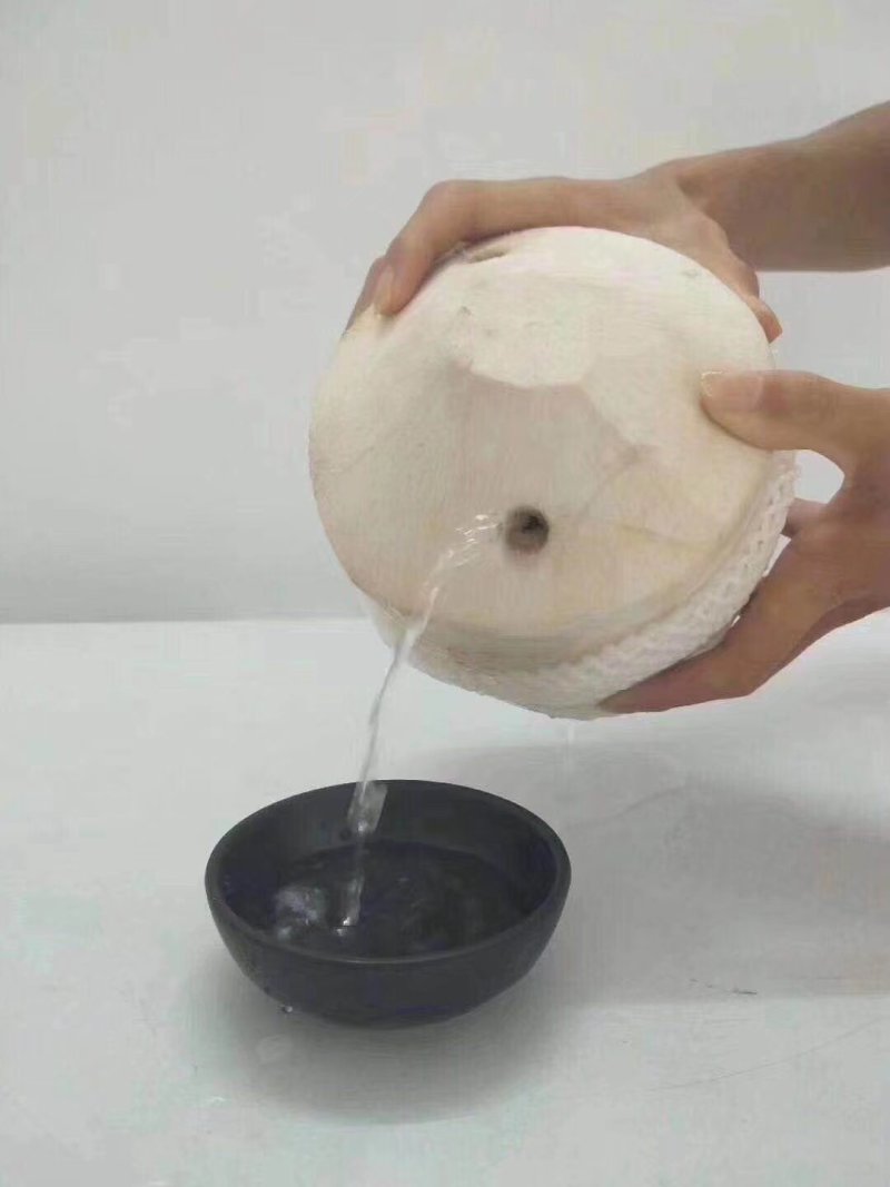 椰子~6个包邮66元