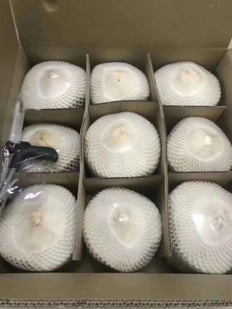 椰子~6个包邮66元
