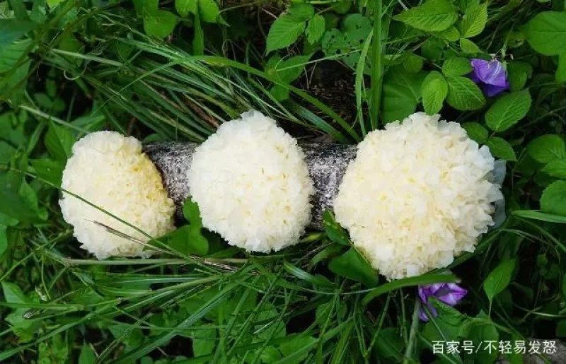 银耳大花特级