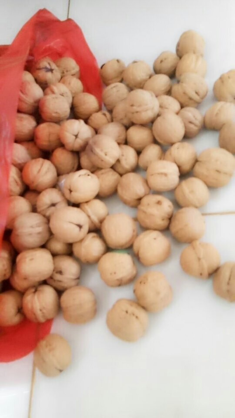 优质纸皮核桃太行山薄皮核桃鲜核桃一手货源量大从优