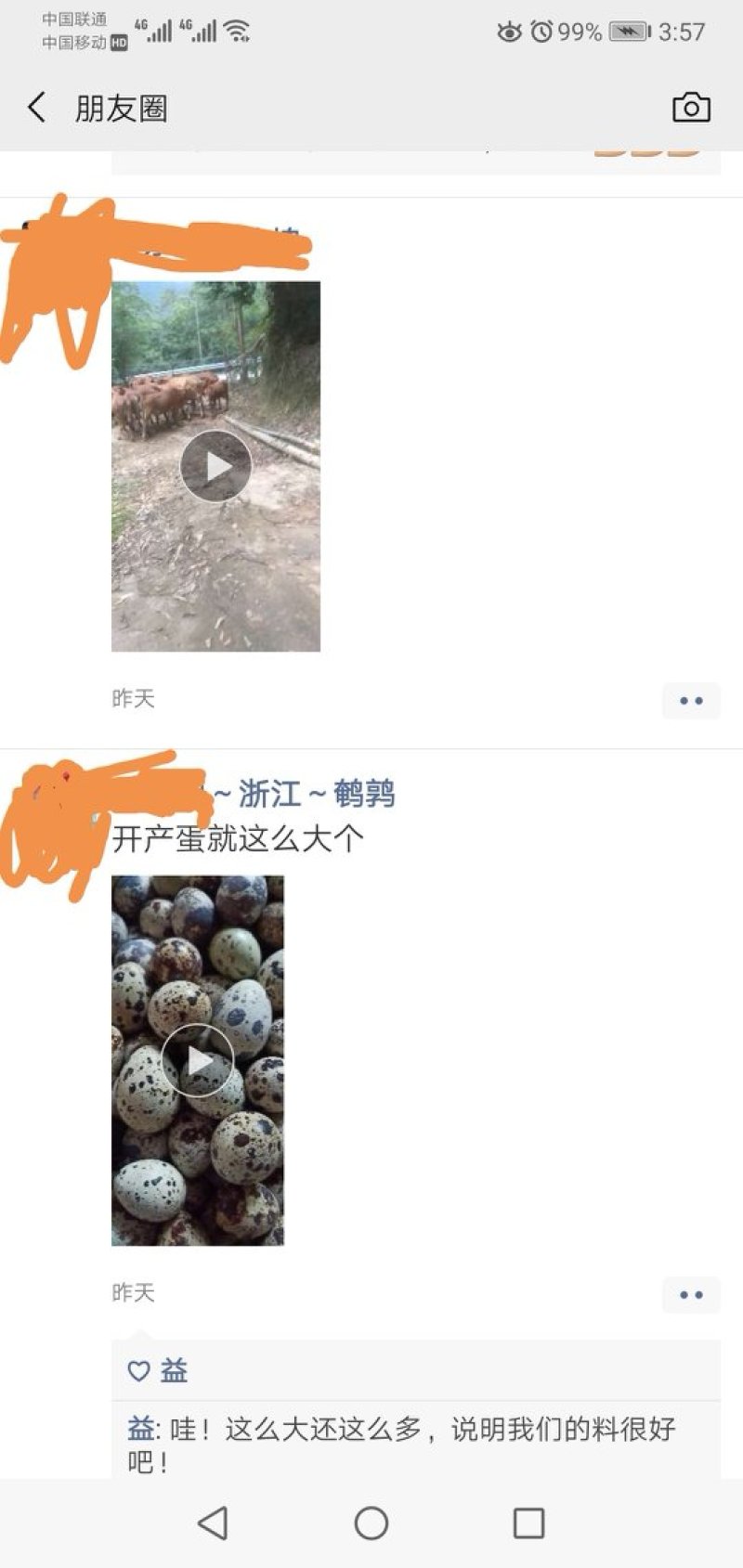 鹌鹑预混料鹌鹑饲料提高抵抗力提高产蛋率提高蛋壳质量