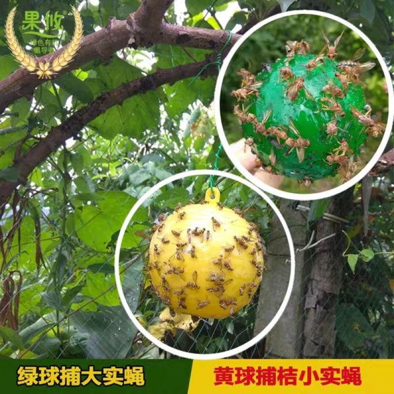 果蝇诱粘器果蝇球诱粘球诱蝇球悬挂