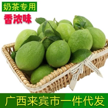 广西香水柠檬