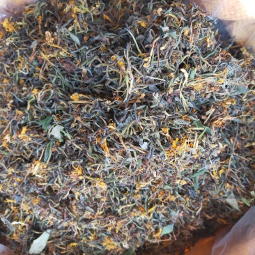 野生金银花