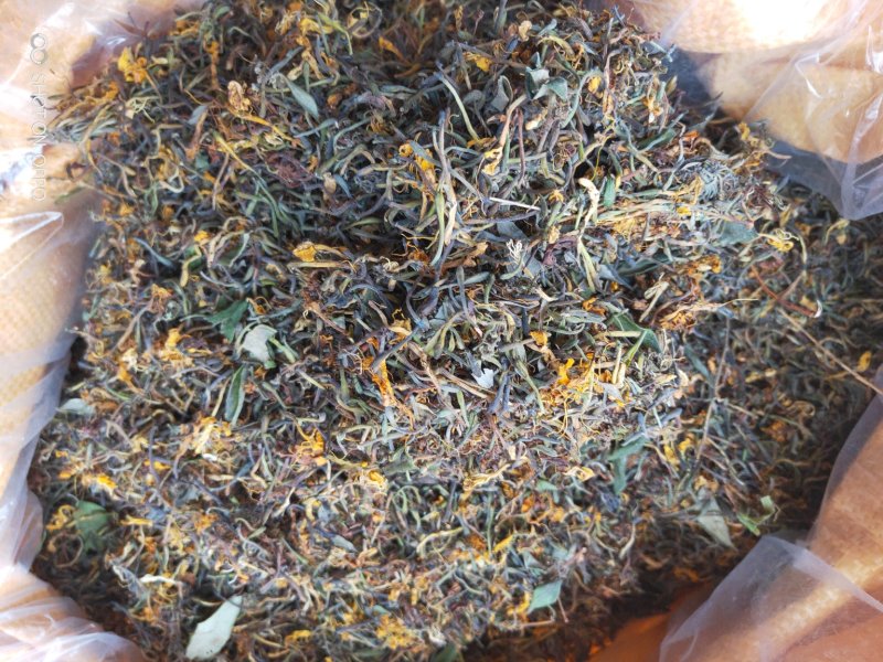 野生金银花