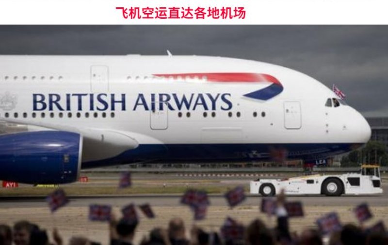 基地直供特级尖椒苗螺丝椒苗圆椒苗抗病高产