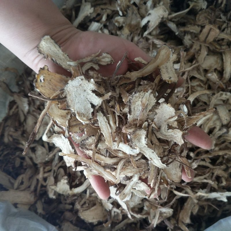 振兴药材批发供应无硫当归规格齐全产地直供一手货源全国发货