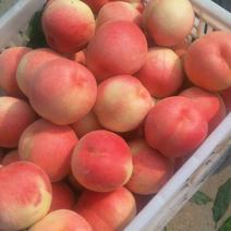 桃，沙红桃，六两以上，脆甜，大量供应，包送，包甜