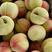 湖北桃子美脆桃产地直发当季水果新鲜采摘货源