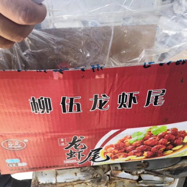 龙虾尾