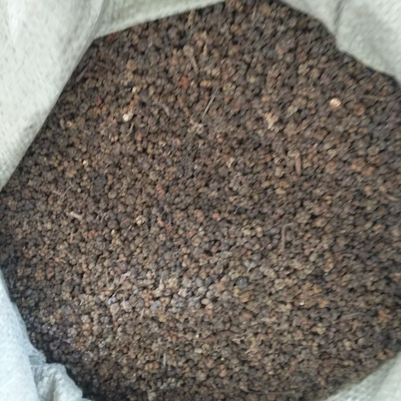 振兴药材批发供应大花吴茱萸规格齐全产地直供一手货源全国发货