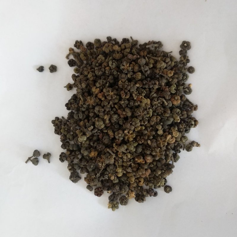 振兴药材批发供应大花吴茱萸规格齐全产地直供一手货源全国发货
