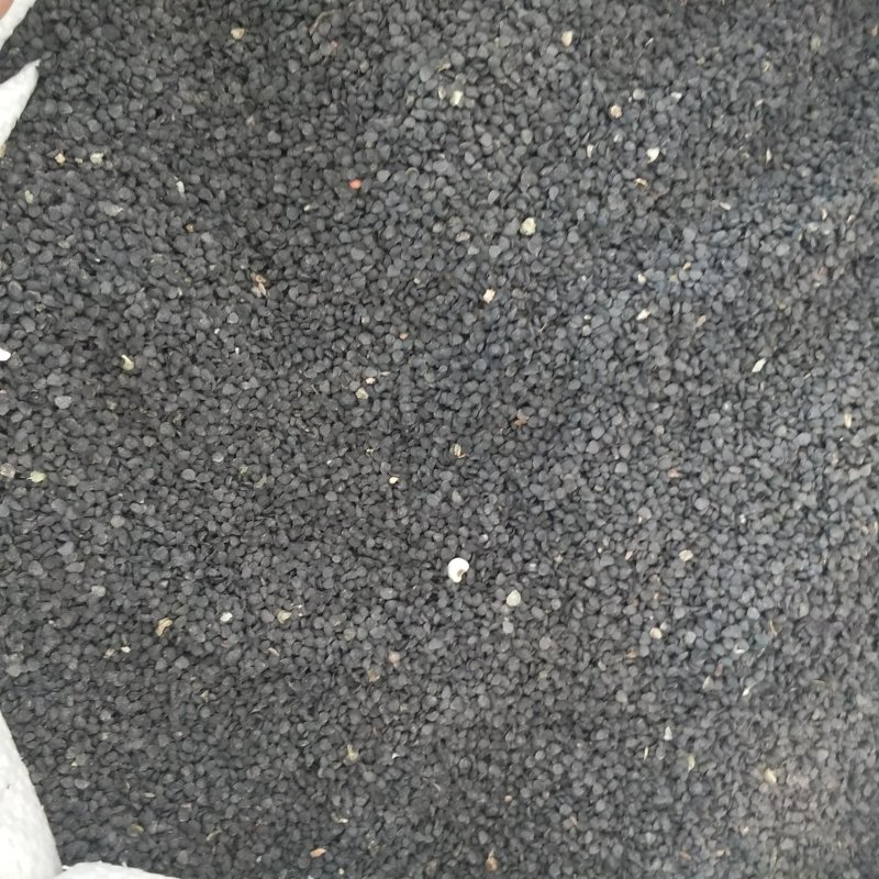 振兴药材批发供应韭菜子规格齐全产地直供一手货源全国发货