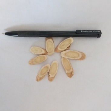振兴药材批发供应大指甲片黄芪规格齐全产地直供一手货源全国发货