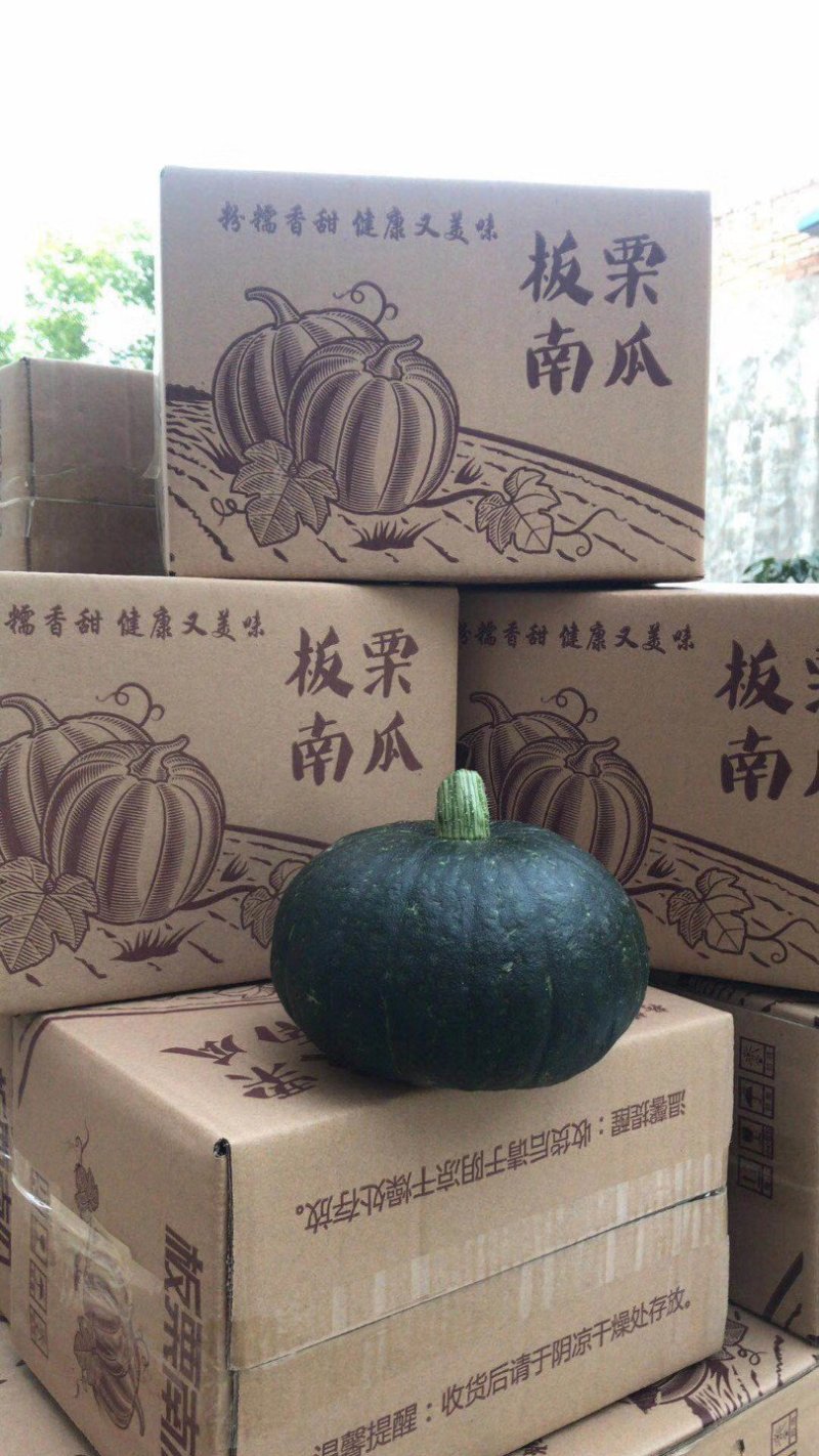 【翼鹏菜业】民勤板栗南瓜，整车代办，一件代发