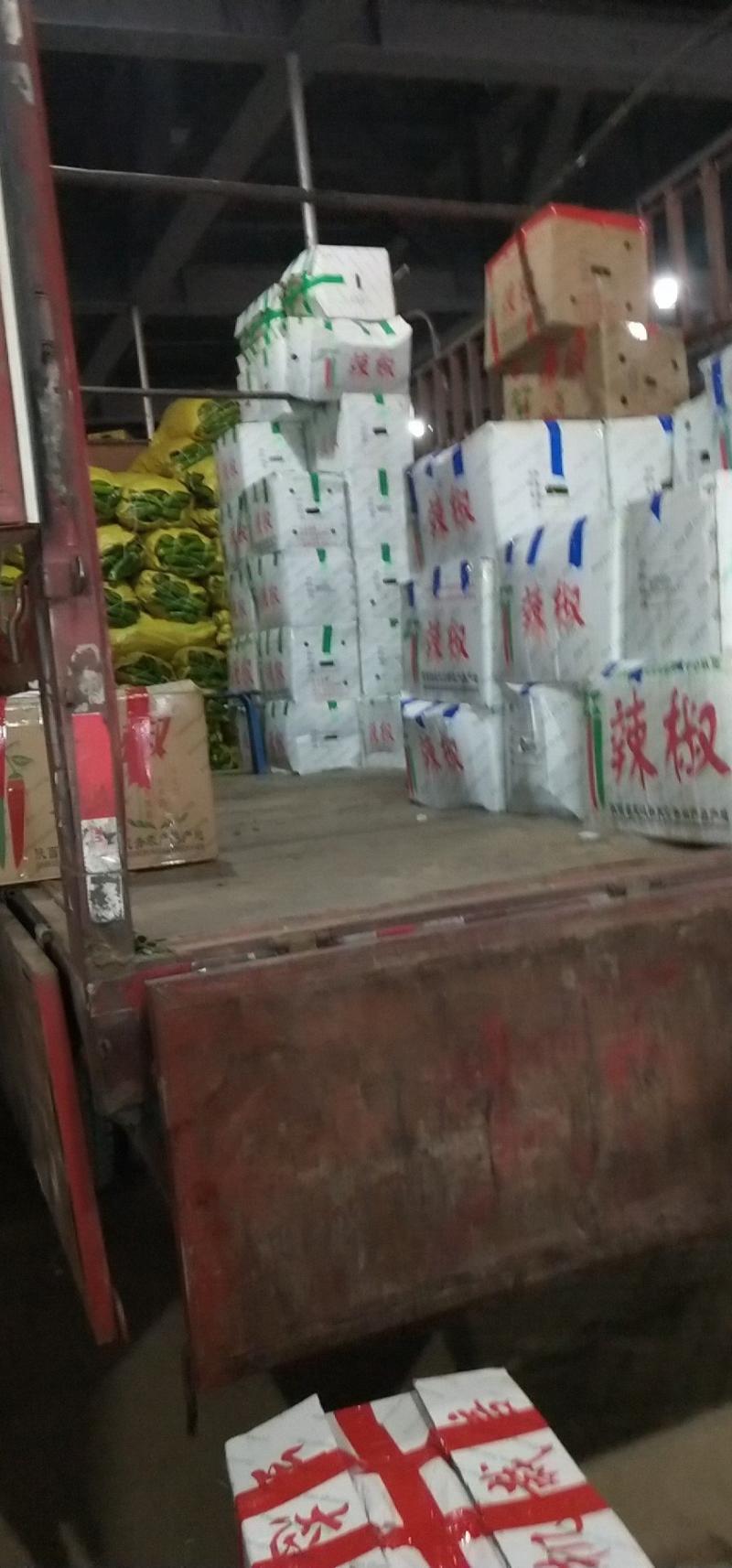陕北榆林市定边县白泥井镇特色牛角椒辣椒大量供应