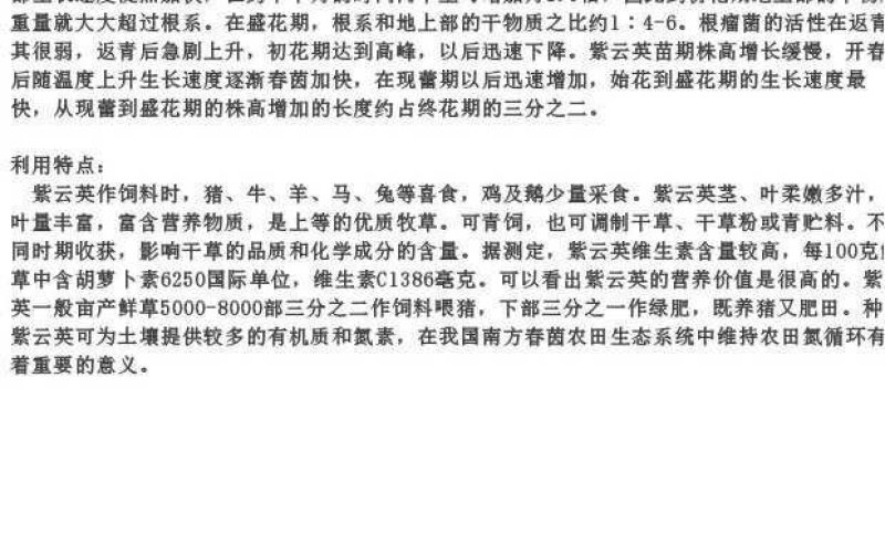 紫云英种子包发芽四季种绿化种子