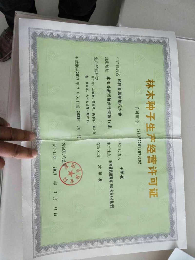 紫云英种子包发芽四季种绿化种子