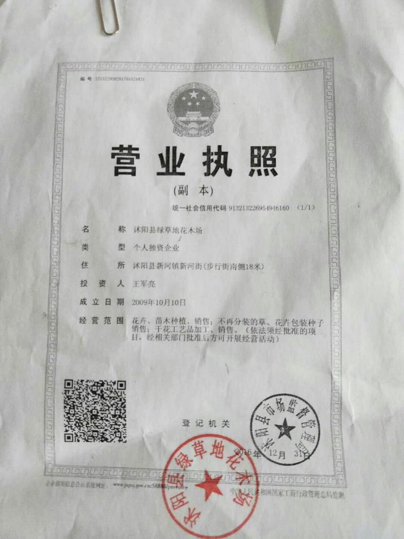 紫云英种子包发芽四季种绿化种子