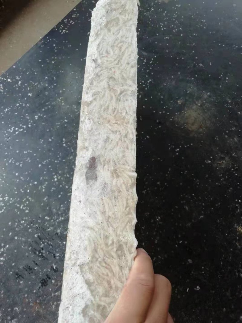 各种虾饲料有货！