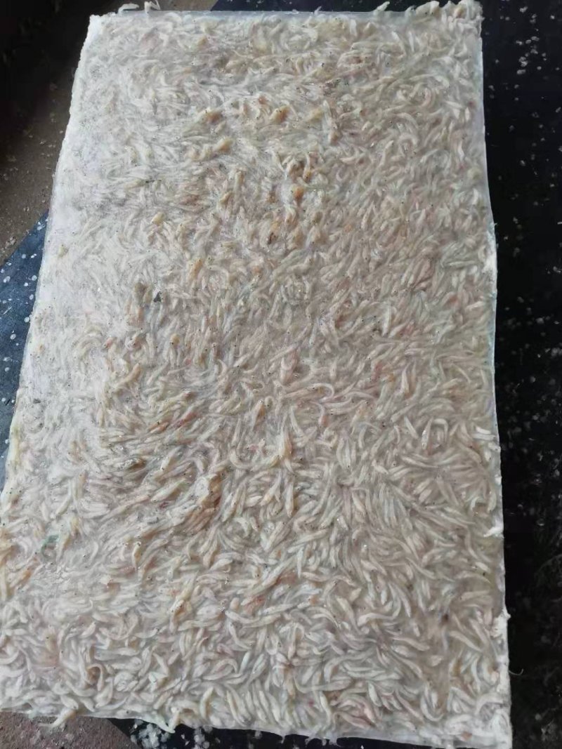 各种虾饲料有货！