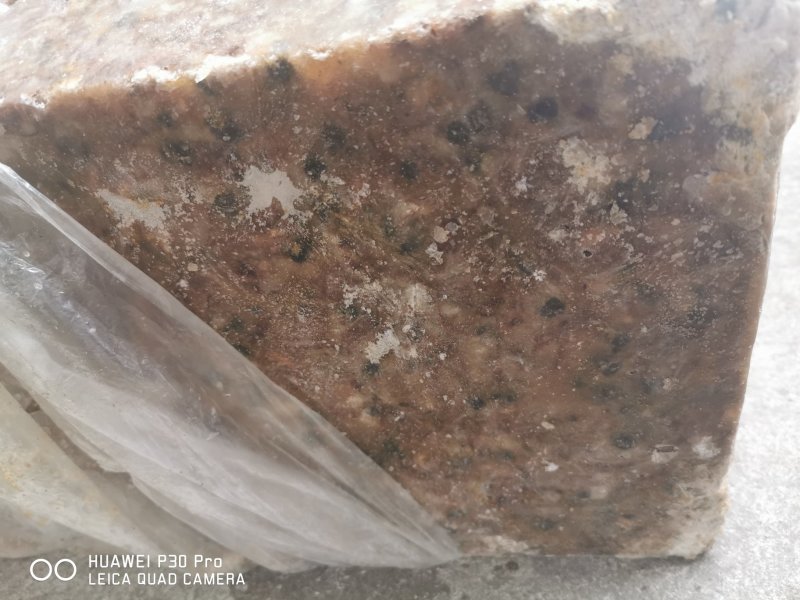 各种虾饲料有货！