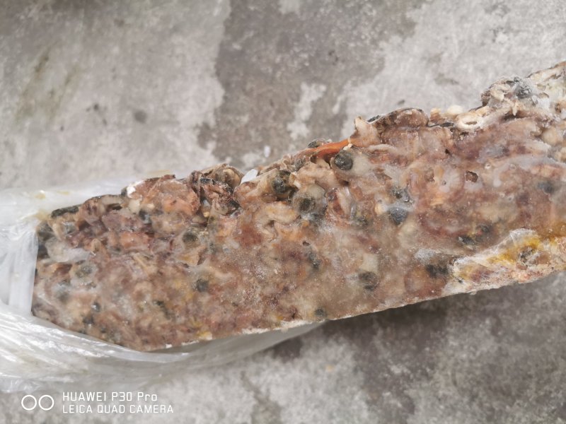 各种虾饲料有货！