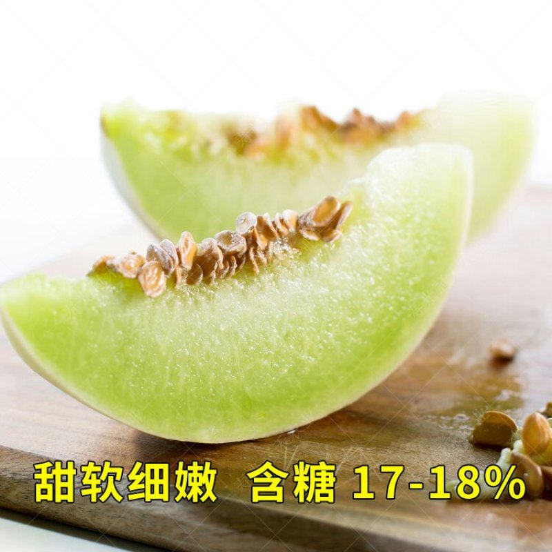 绿姑白皮绿肉甜瓜种子高档礼品瓜高糖价值高