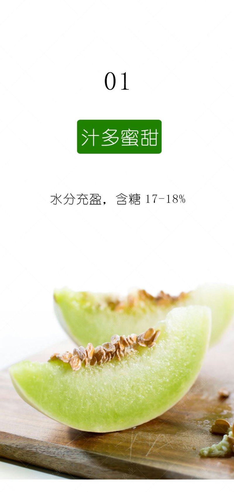 绿姑白皮绿肉甜瓜种子高档礼品瓜高糖价值高