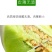 绿姑白皮绿肉甜瓜种子高档礼品瓜高糖价值高