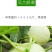 绿姑白皮绿肉甜瓜种子高档礼品瓜高糖价值高