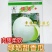 绿姑白皮绿肉甜瓜种子高档礼品瓜高糖价值高