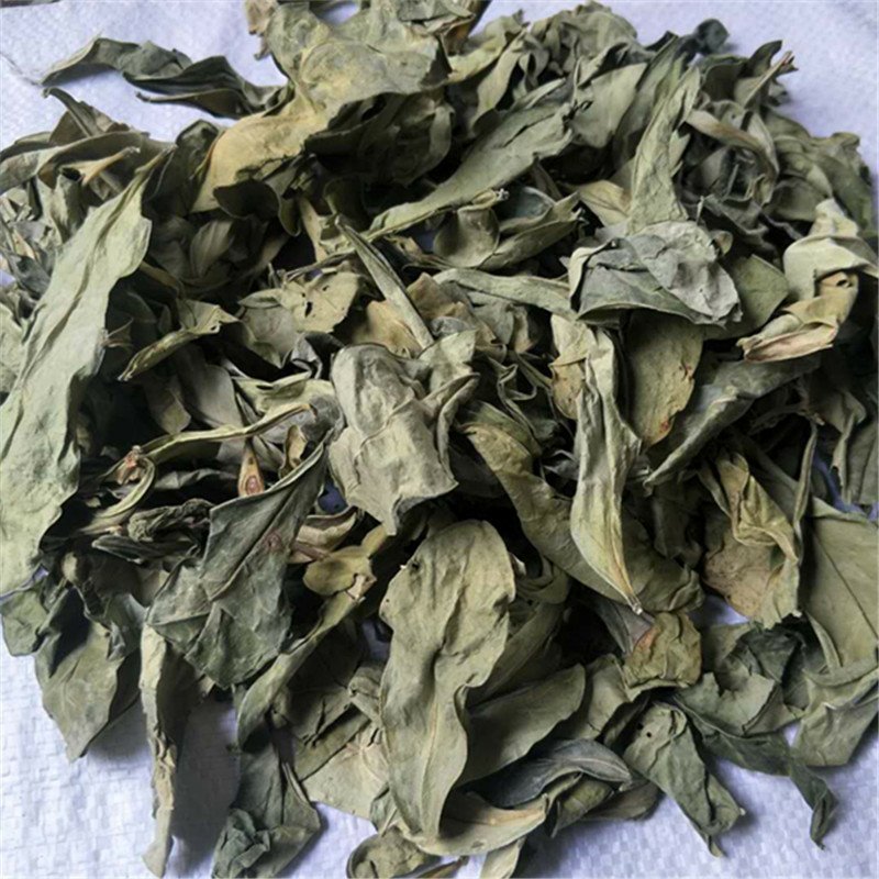 龙脷叶龙利叶供应上千种中药材