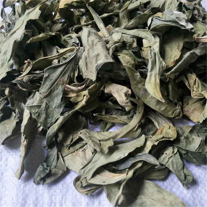 龙脷叶龙利叶供应上千种中药材