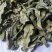 龙脷叶龙利叶供应上千种中药材