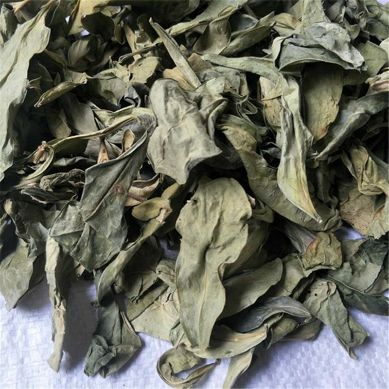 龙脷叶龙利叶供应上千种中药材