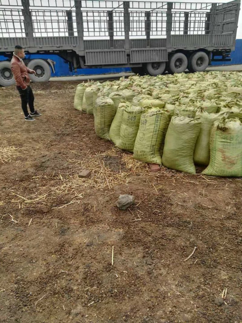 羊粪纯颗粒干羊粪养分充足有机质含量高