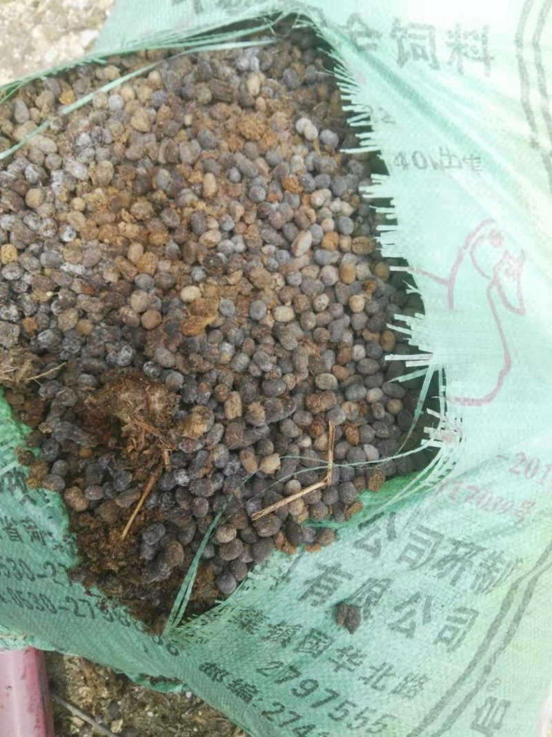 羊粪纯颗粒干羊粪养分充足有机质含量高