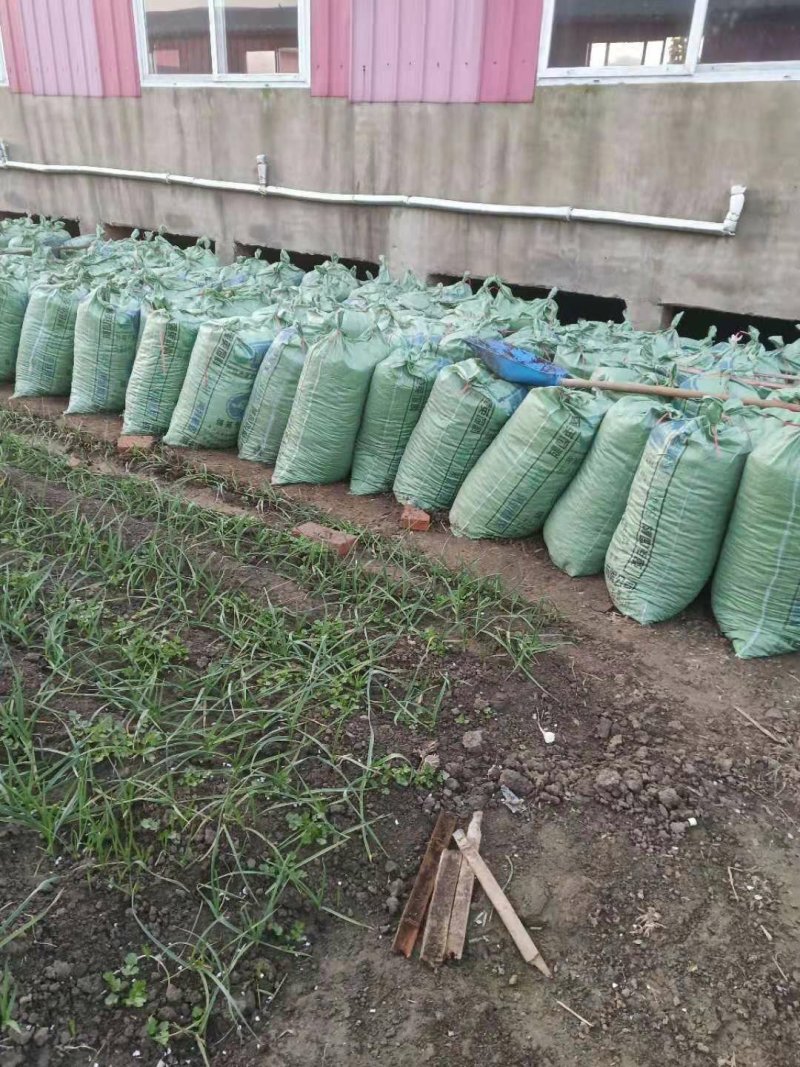 羊粪纯颗粒干羊粪养分充足有机质含量高