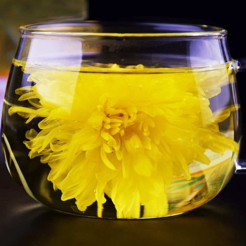 金丝皇菊花