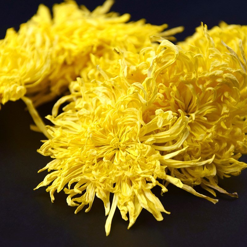 金丝皇菊花