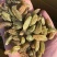 新疆吐鲁番大粒白无核葡萄干