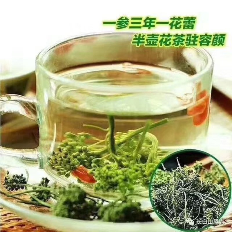 人参花长白山六年生人参花六罐一件包邮产地直供