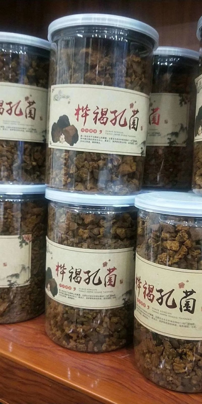长白山野生20年生桦树茸一斤起卖包邮产地直供当天发货