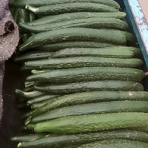 青瓜