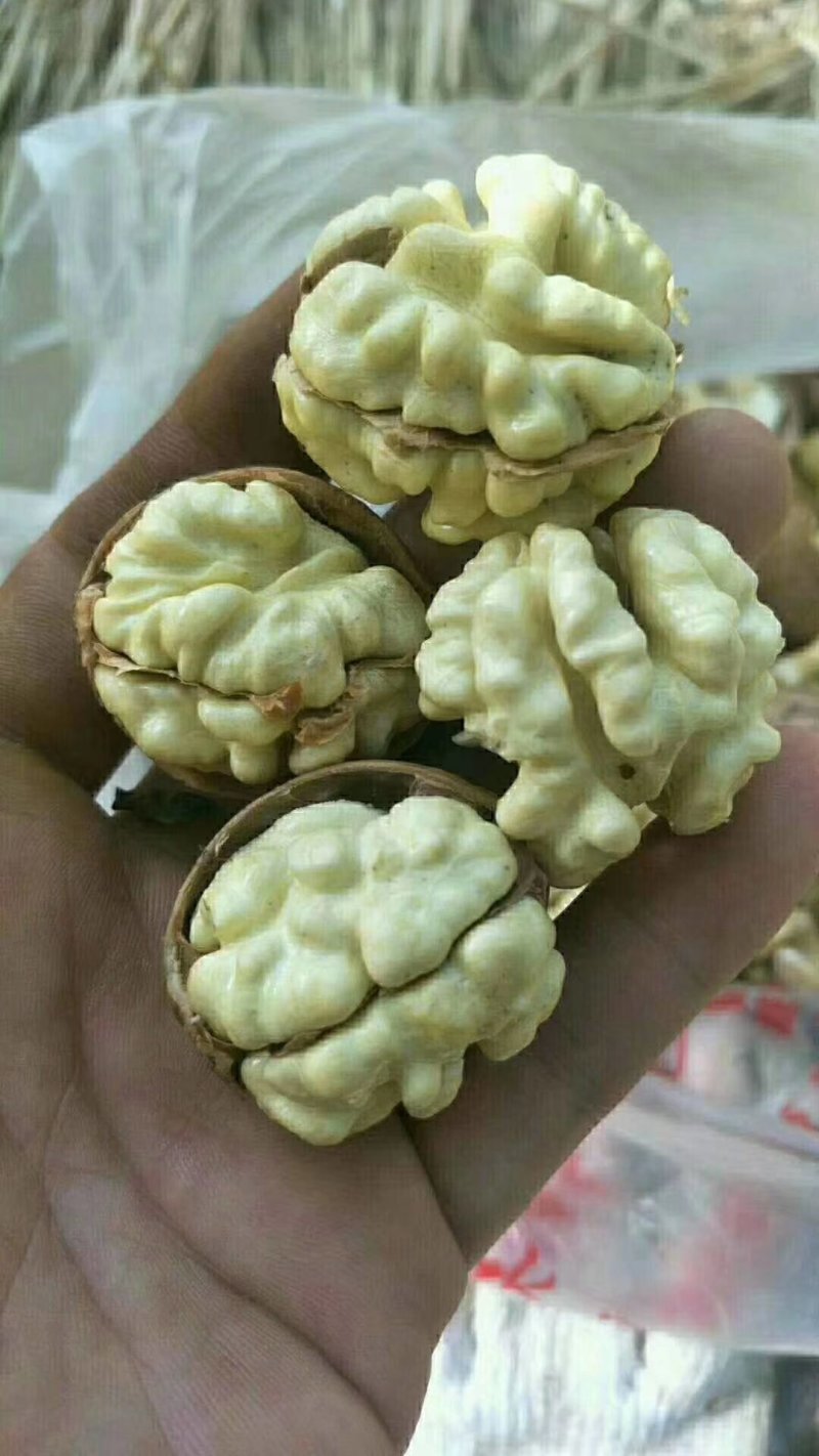 陕西核桃仁，预售。