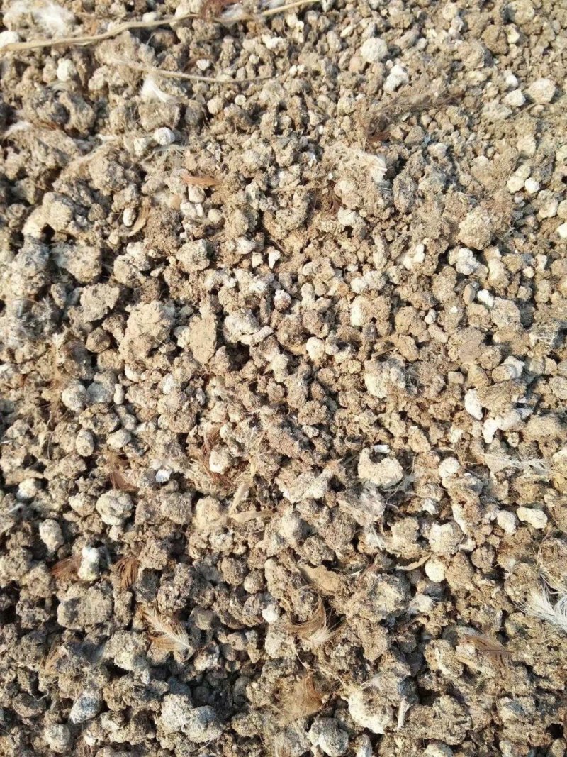 生物有机肥/动物粪便/晒干纯鹌鹑粪，颗粒鹌鹑粪，纯鸽子粪