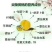 炎陵锦绣黄桃