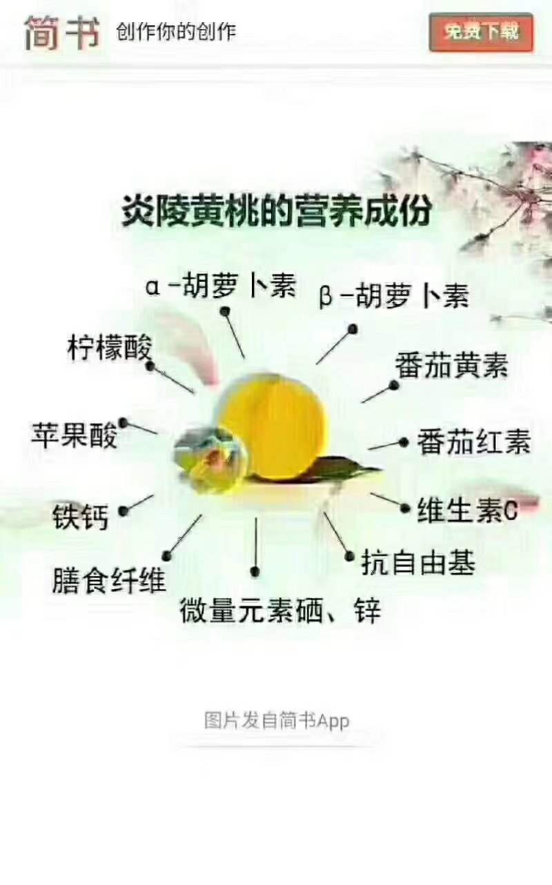 炎陵锦绣黄桃